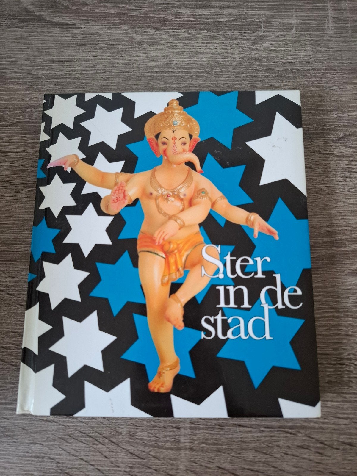 Ster in de stad - Avontuurlijk kinderboek, Ophalen of Verzenden, Zo goed als nieuw
