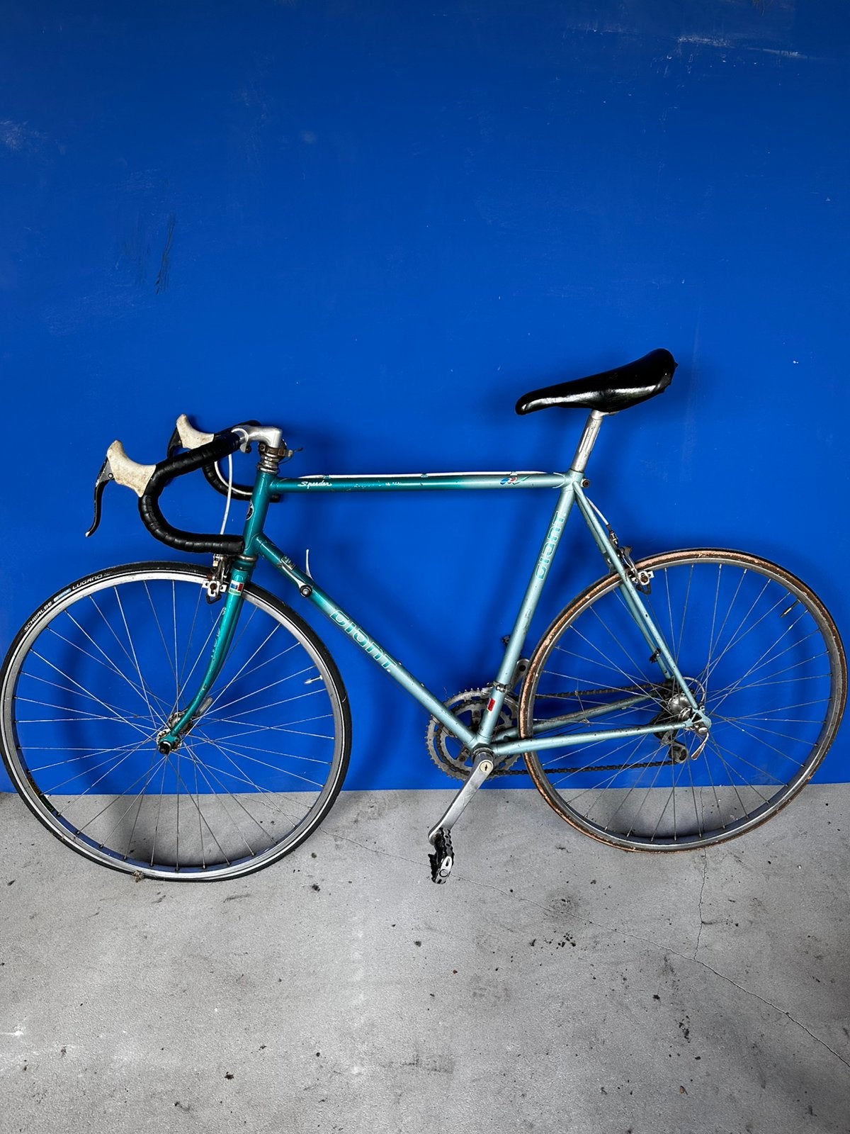 Mooie vintage racefiets. Giant speeder, Zo goed als nieuw, 10 tot 15 versnellingen, Staal, Giant