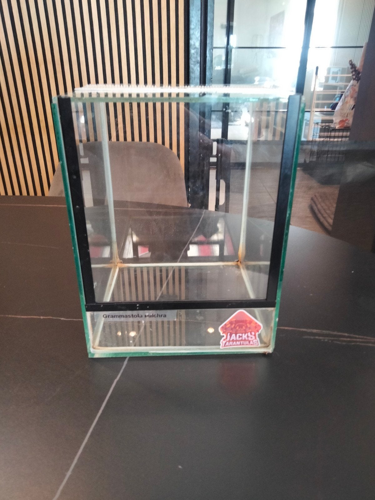 Terrarium spinnen, Dieren en Toebehoren, Reptielen en Amfibieën | Toebehoren, Ophalen