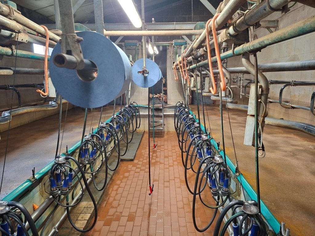 GEA 2x8 melkstal, Dieren en Toebehoren, Ophalen, Gebruikt