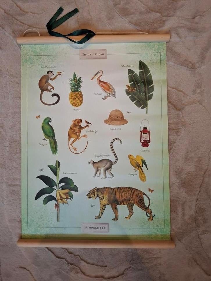 Schoolplaat in de tropen. 2-zijdig - 70x42cm, Ophalen of Verzenden