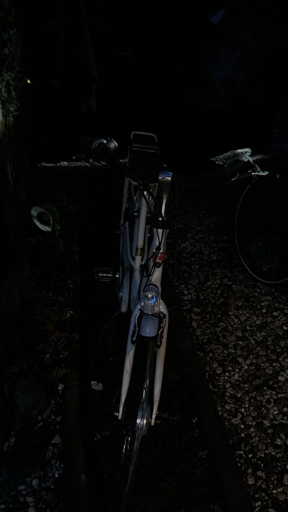 Stella Fiore Elektrische Fiets - Comfortabel en Stijlvol, Fietsen en Brommers, Elektrische fietsen, Overige merken, Gebruikt, Ophalen of Verzenden