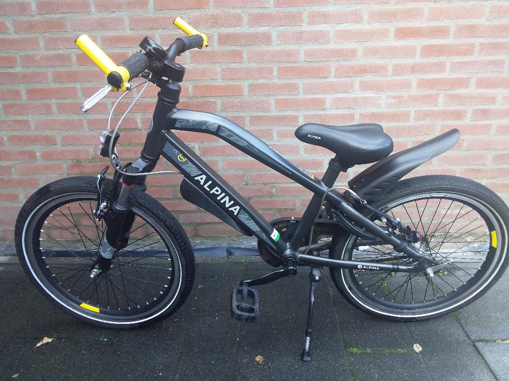 ALPINA KINDERFIETS 20 INCH, Ophalen, Gebruikt, 20 inch of meer