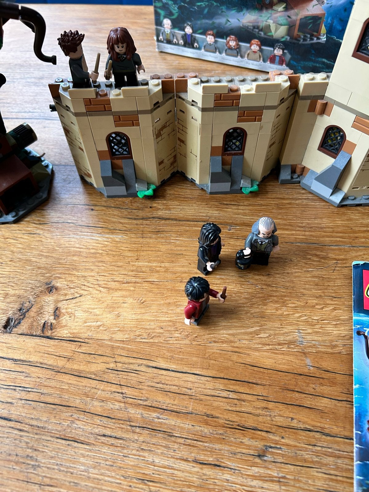 LEGO Harry Potter 75953 Hogwarts Whomping Willow, Kinderen en Baby's, Speelgoed | Duplo en Lego, Ophalen, Zo goed als nieuw
