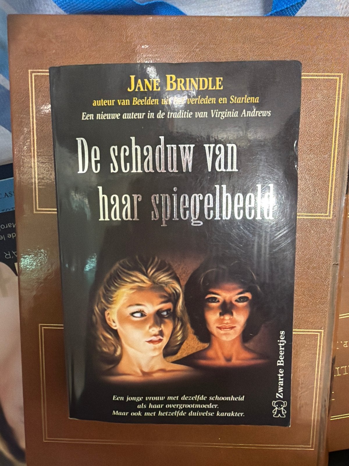 De schaduw van haar spiegelbeeld - Jane Brindle, Ophalen of Verzenden, Gelezen, Nederland