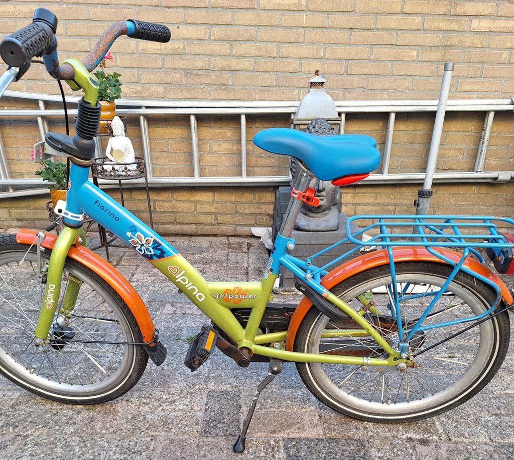 Kinderfiets Alpina 20 Inch, Ophalen, Gebruikt, 20 inch