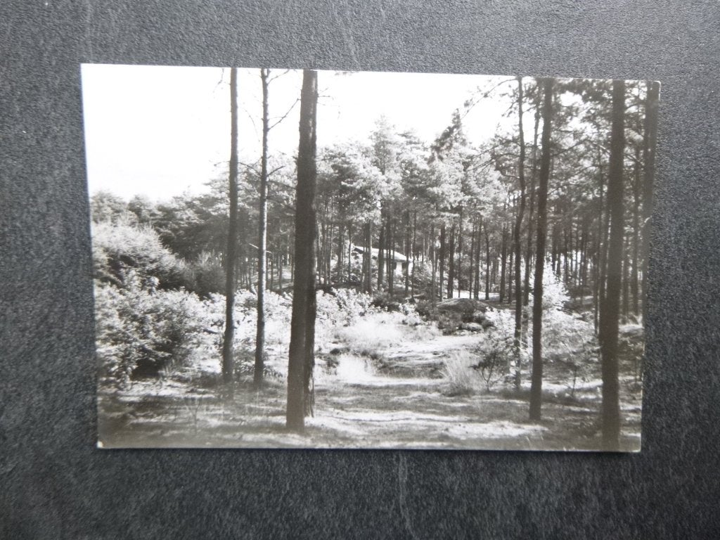 Leersum, vak. centrum Ginkelduin bungalow in het bos 1964, Verzamelen, Verzenden, 1960 tot 1980, Gelopen, Noord-Brabant