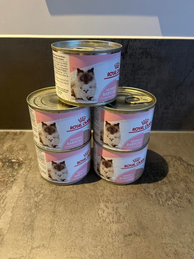 Royal canin kitten voer, Ophalen of Verzenden, Kat
