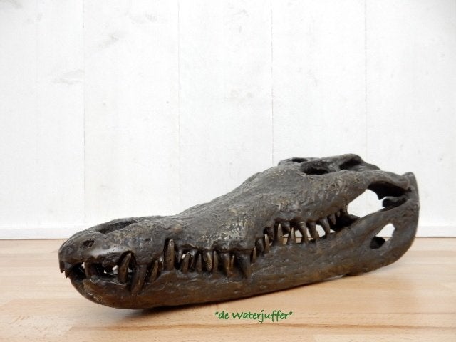 199* bronzen krokodil schedel (Boven €75 geen verzendkosten), Ophalen of Verzenden, Nieuw, Overige materialen, Dierenbeeld
