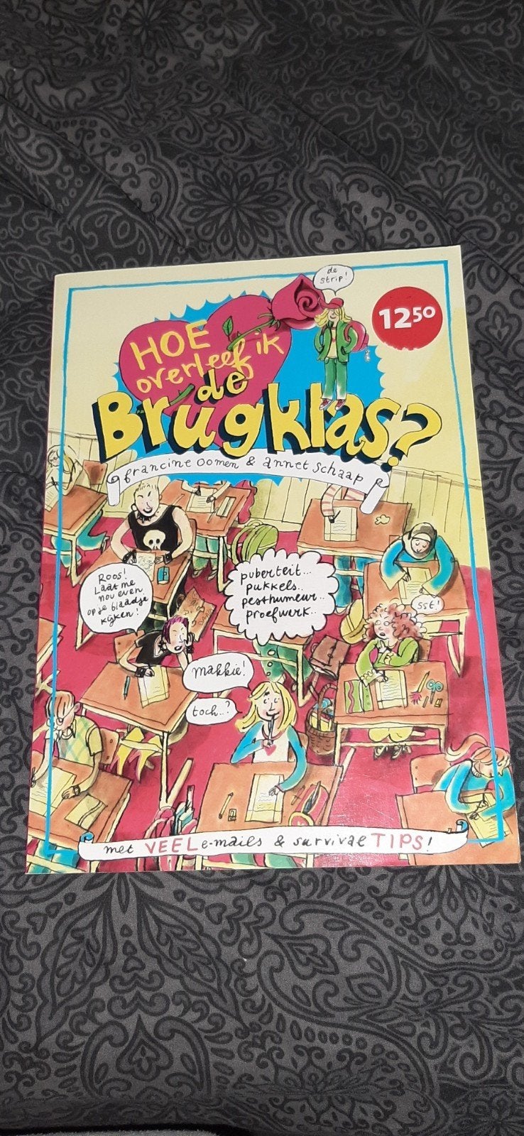 Hoe overleef ik de brugklas? - Stripboek, Boeken, Ophalen of Verzenden