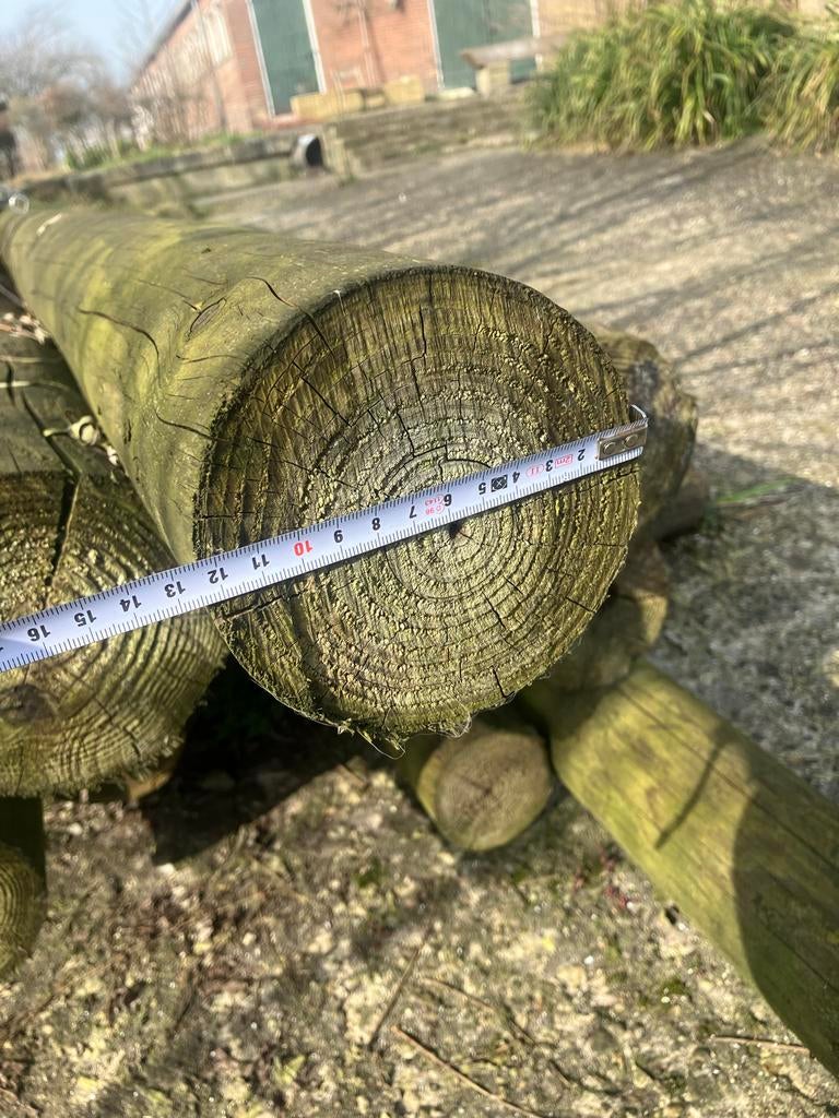 Oude meerpalen te koop, Doe-het-zelf en Verbouw, Hout en Planken, Gebruikt, Balk, Overige houtsoorten, 300 cm of meer, 50 mm of meer