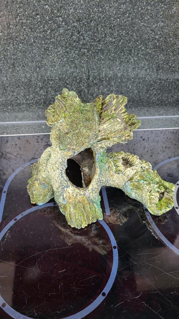 Ornament aquarium, Ophalen