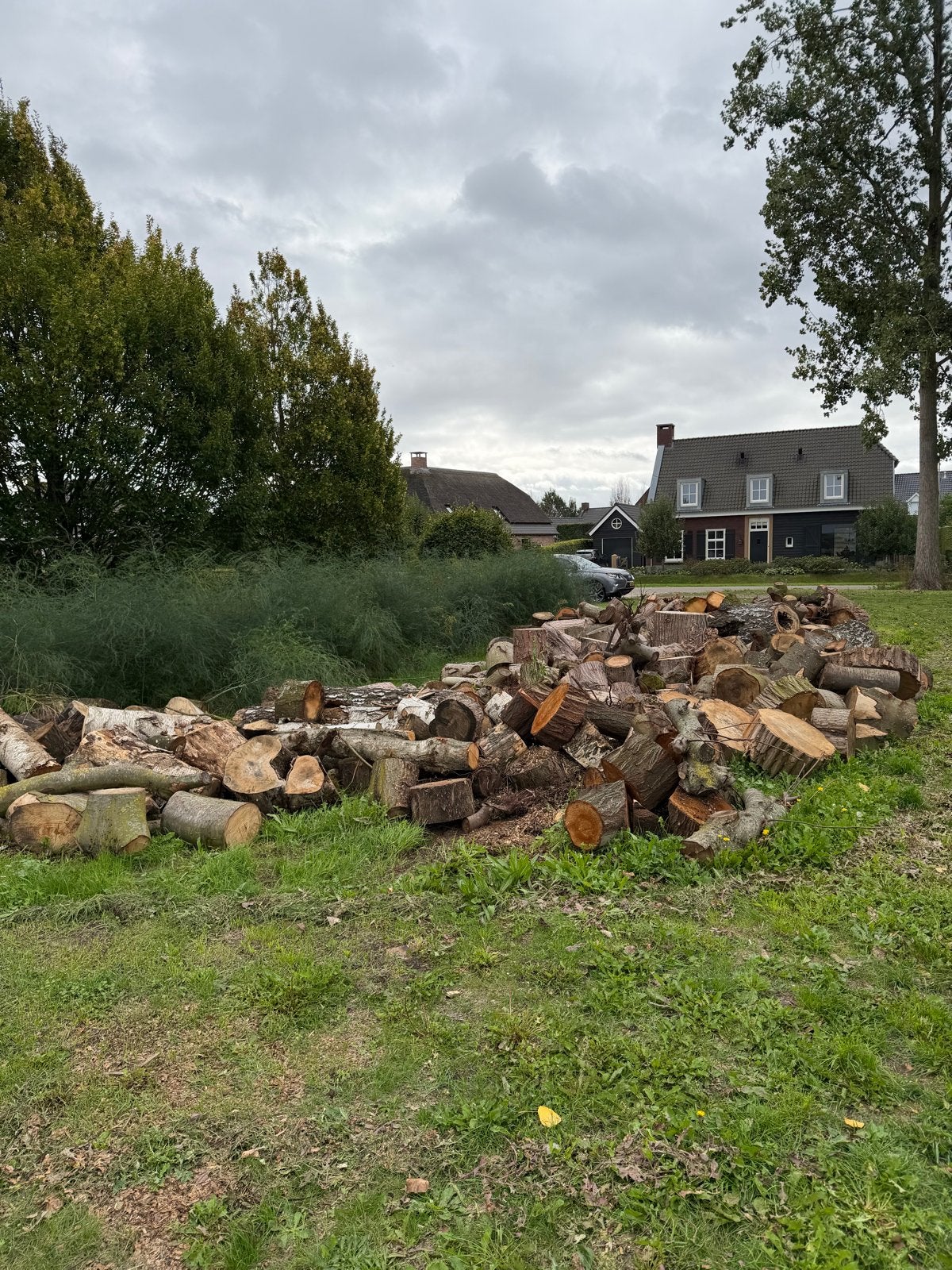 Houtblokken en stammen brandhout ca 5000kg., 6 m³ of meer, Ophalen of Verzenden, Blokken