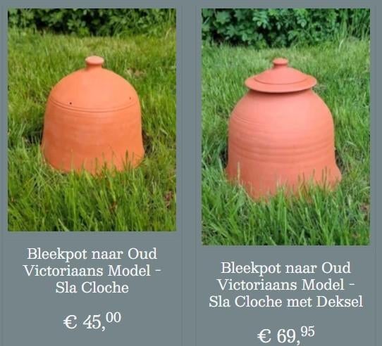Bleekpot rabarberpot terracotta winterhard sla cloche, T, Rond, Nieuw, Ophalen of Verzenden