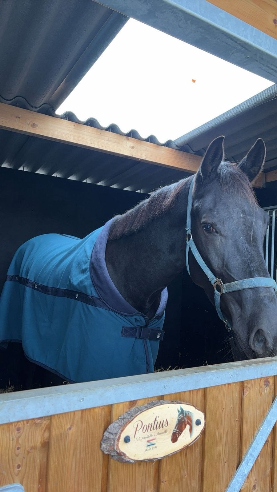 Equestrian Stockholm Fleecedeken, Dieren en Toebehoren, Ophalen of Verzenden, Zo goed als nieuw