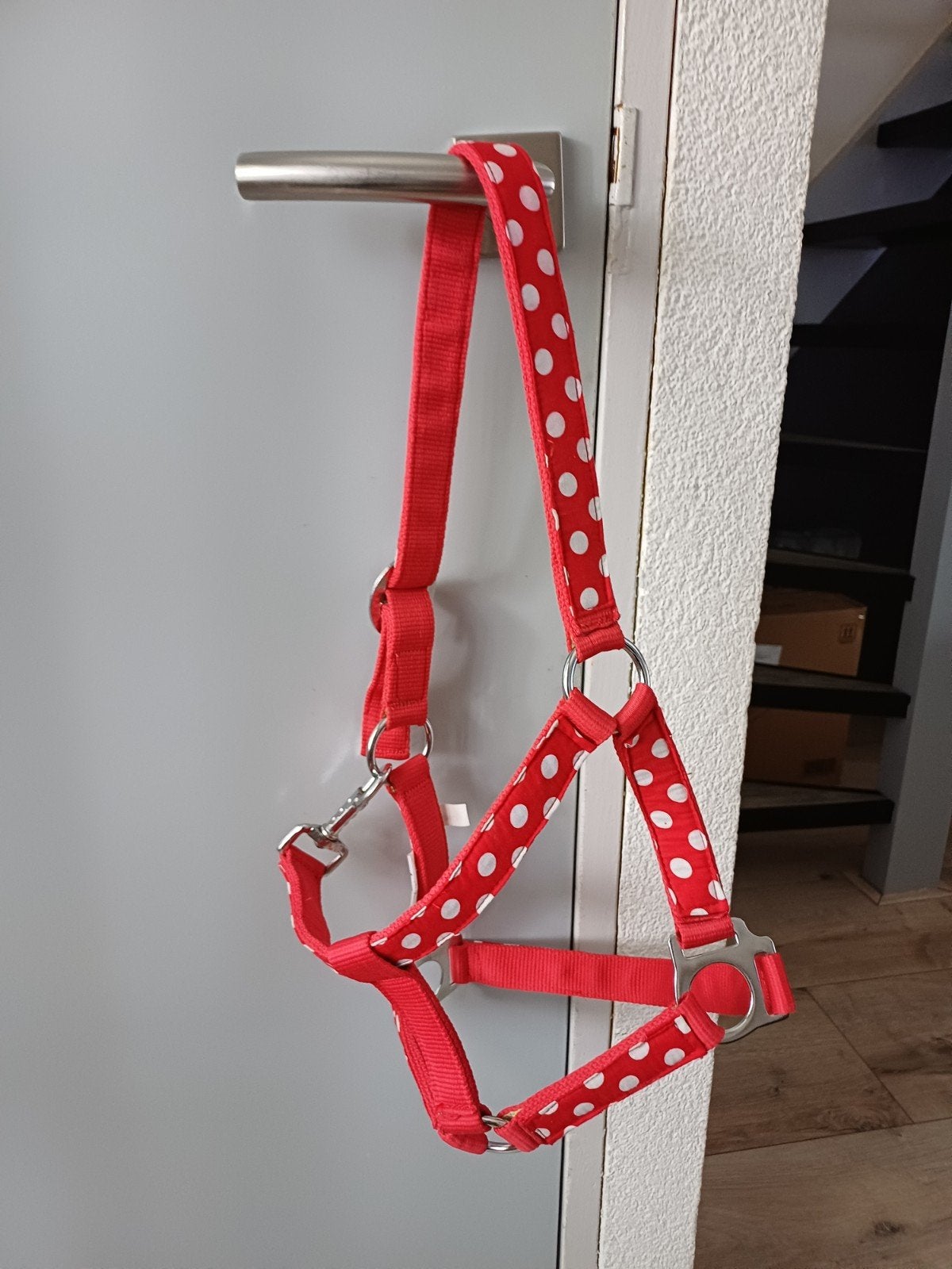 Halster maat Pony rood met witte stippen, Ophalen, Overige soorten