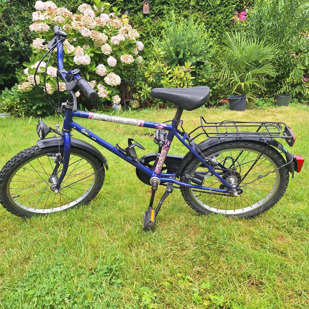 Fiets, Ophalen, Gebruikt, Velgrem, Versnellingen