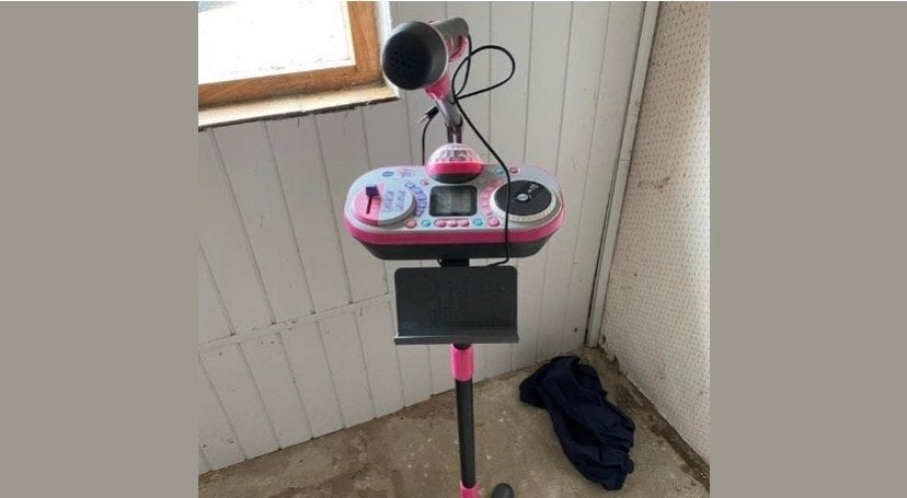 Kinder Muziek Studio met Microfoon en Standaard, Ophalen, Gebruikt, Zangmicrofoon