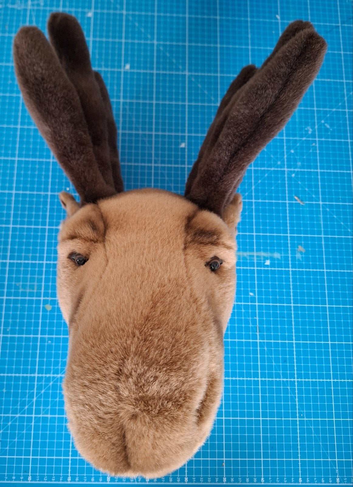 Te koop: Pluchen Elandkop voor aan de muur., Overige materialen, Ophalen of Verzenden, Bruin, Landelijk