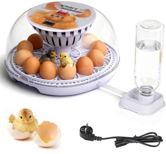 Smart incubator 12 eggs, Ophalen of Verzenden