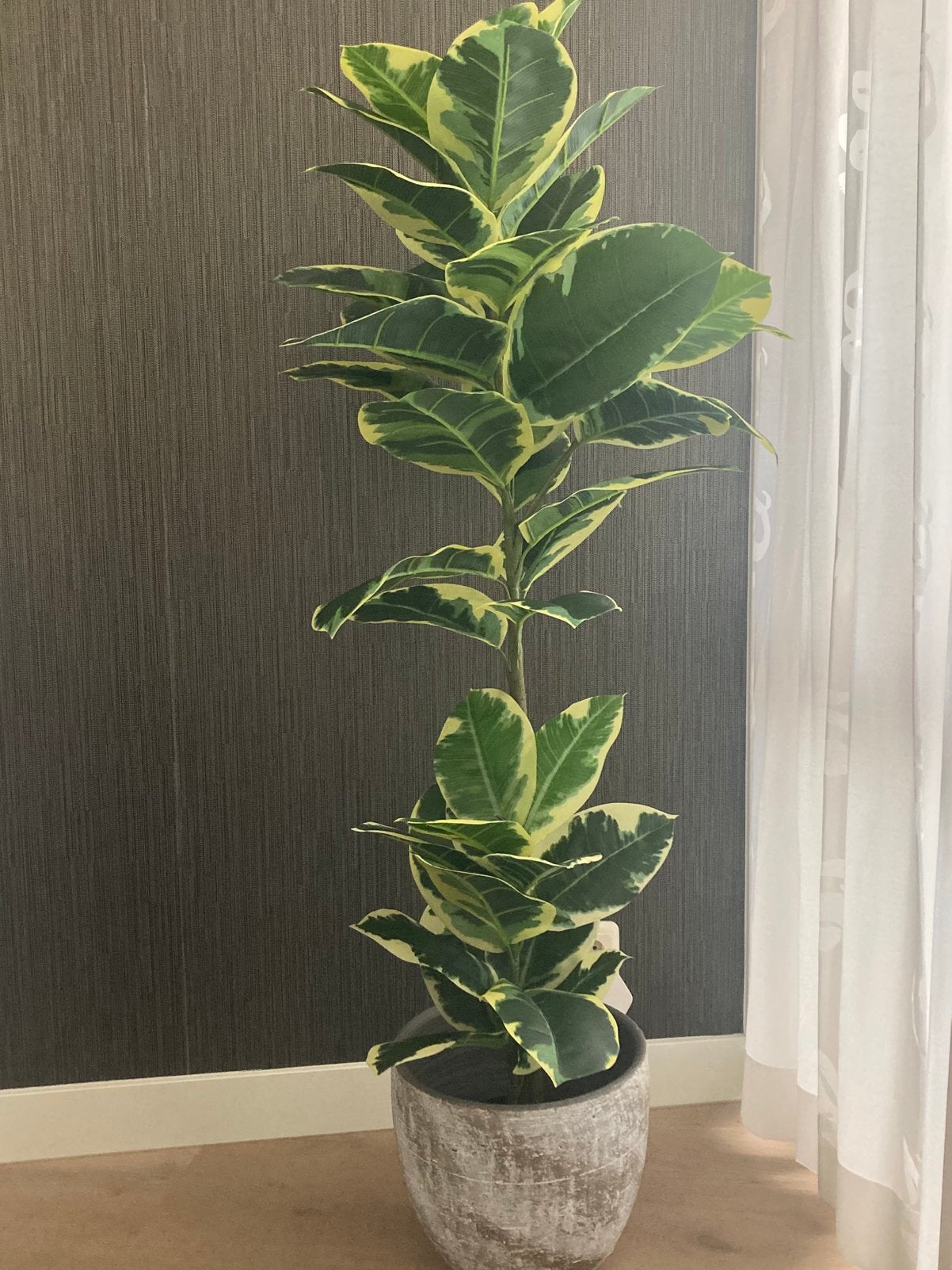 Plant met pot, Ophalen, Gebruikt, Kunstplant
