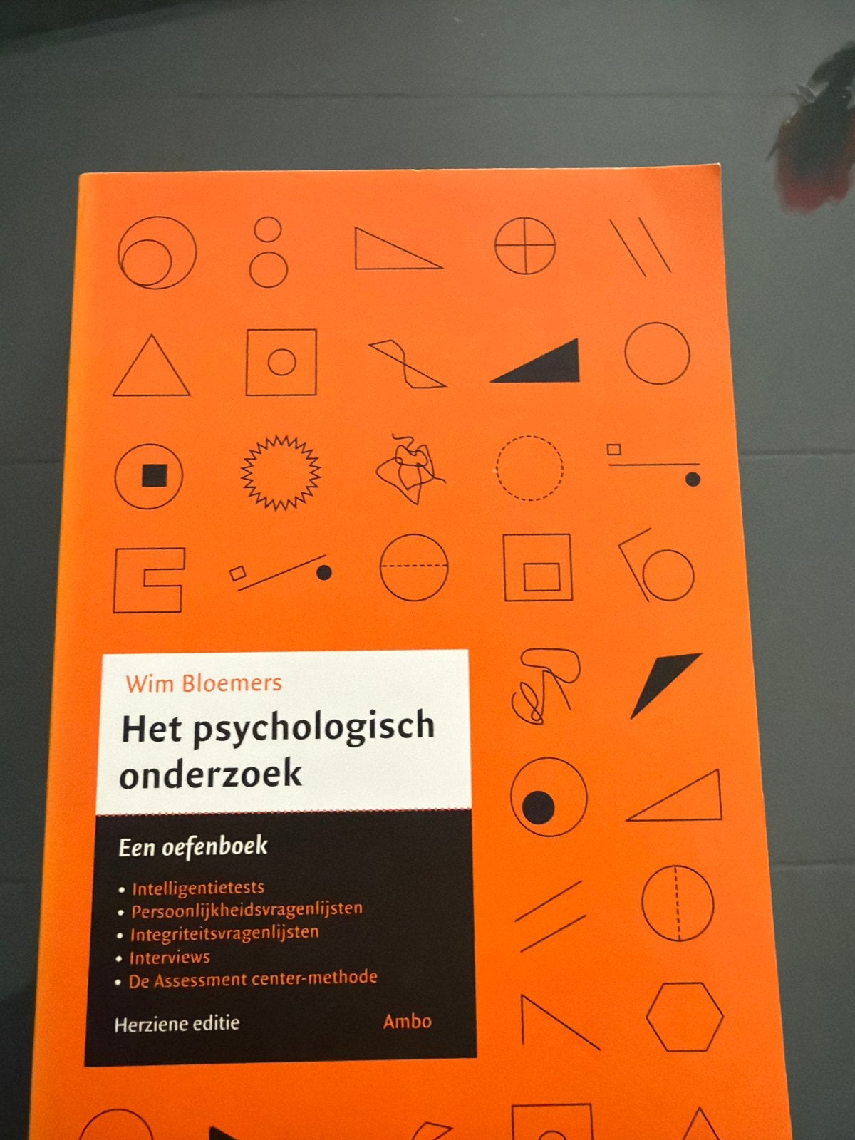 Het psychologisch onderzoek (Wim Bloemers) - Een oefenboek, Boeken, Ophalen of Verzenden, Zo goed als nieuw, Overige onderwerpen