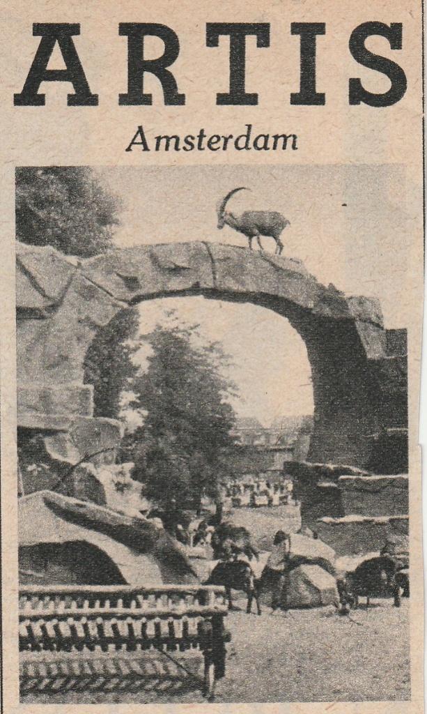 Retro reclame 1949 Artis dierentuin bezoekt de giraffen, Verzenden, Overige typen