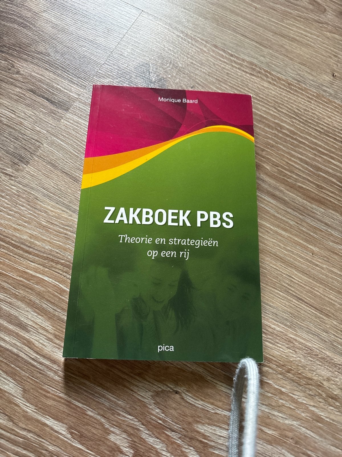 Zakboek PBS: Theorie en strategieën op een rij, Boeken, Ophalen of Verzenden, Gamma, Zo goed als nieuw, HBO