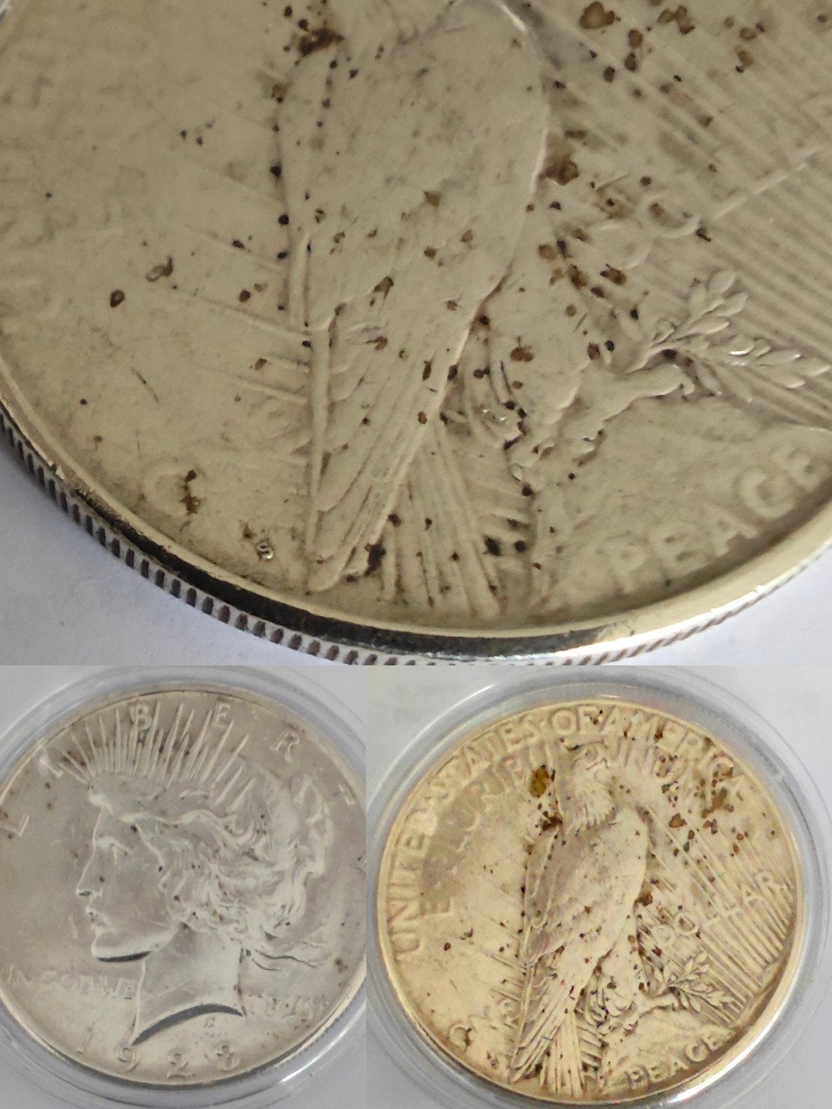 Peace-dollar, zilveren US Dollar (gehalte .900) – 1923-S (mu, Ophalen of Verzenden, Noord-Amerika, Zilver