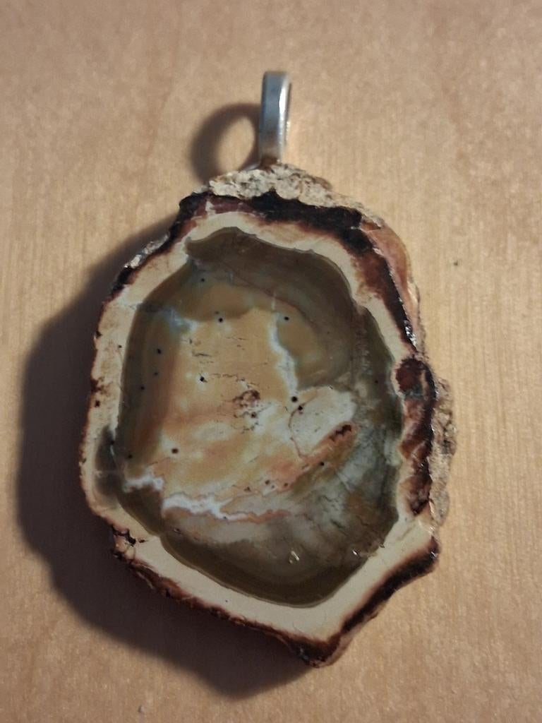 Versteend hout hanger-- afmeting 5 cm, Verzenden, Nieuw, Overige kleuren, Overige materialen