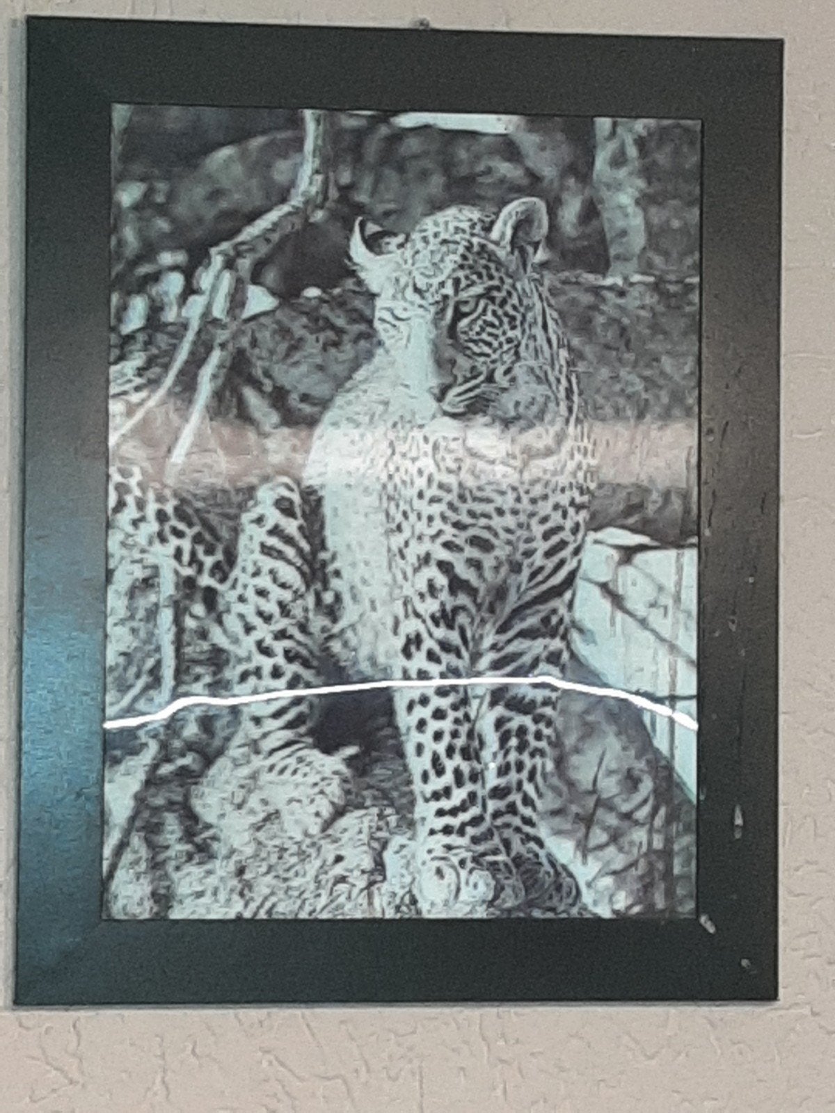 Poema 3D Schilderij - Luipaard, Ophalen, Achter glas, Dieren