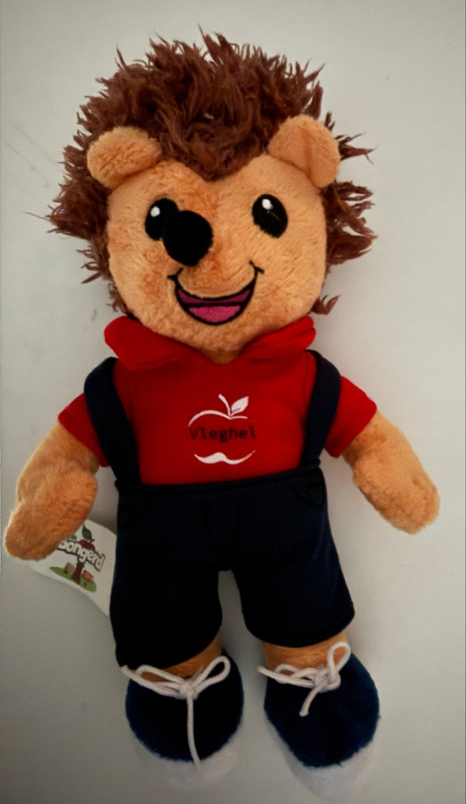 Leuk egel knuffeldier met kleding - 'Vleghel' mascotte, Overige merken, Overige karakters, Overige typen, Ophalen of Verzenden
