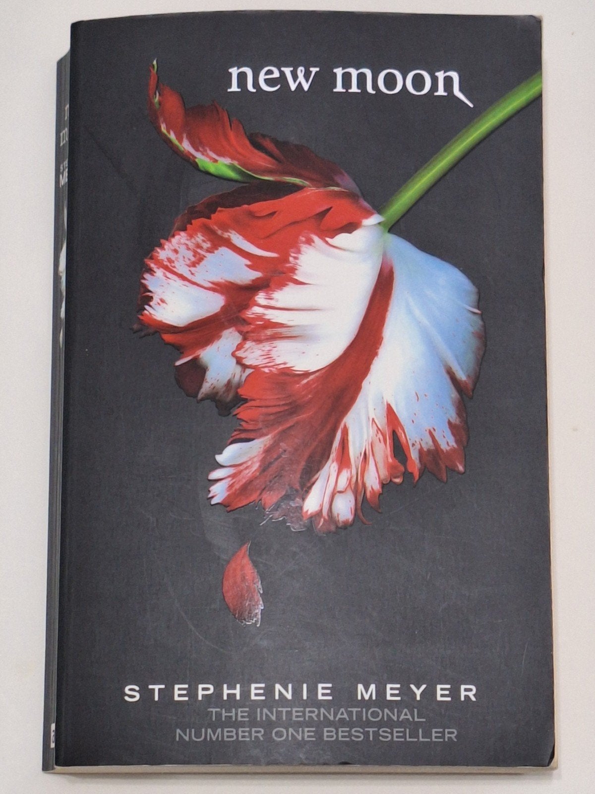 New Moon - Stephenie Meyer (English book), Boeken, Ophalen of Verzenden, Zo goed als nieuw, Stephenie Meyer