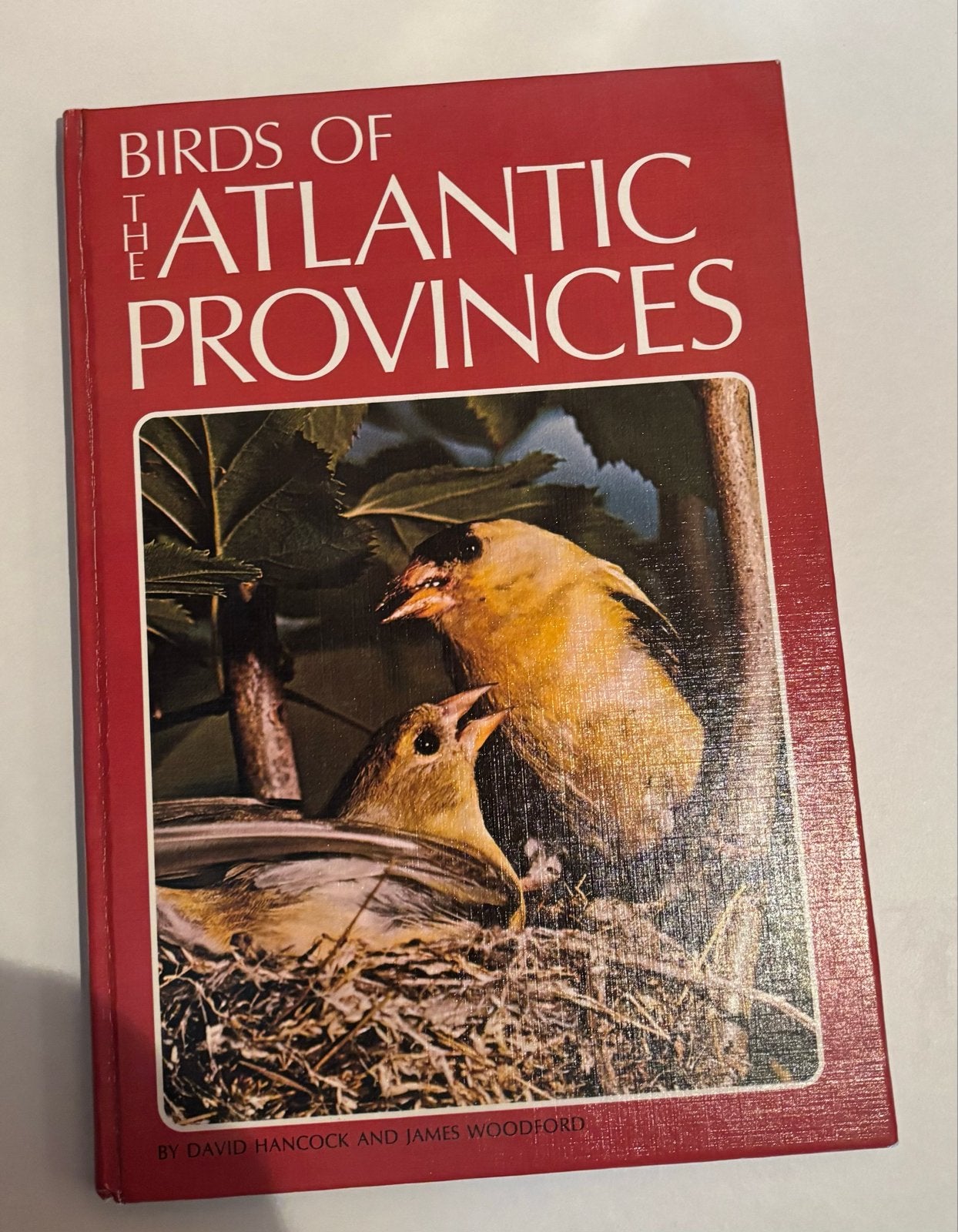 Birds of the Atlantic Provinces - Vogelgids, Ophalen of Verzenden, Gelezen, Vogels