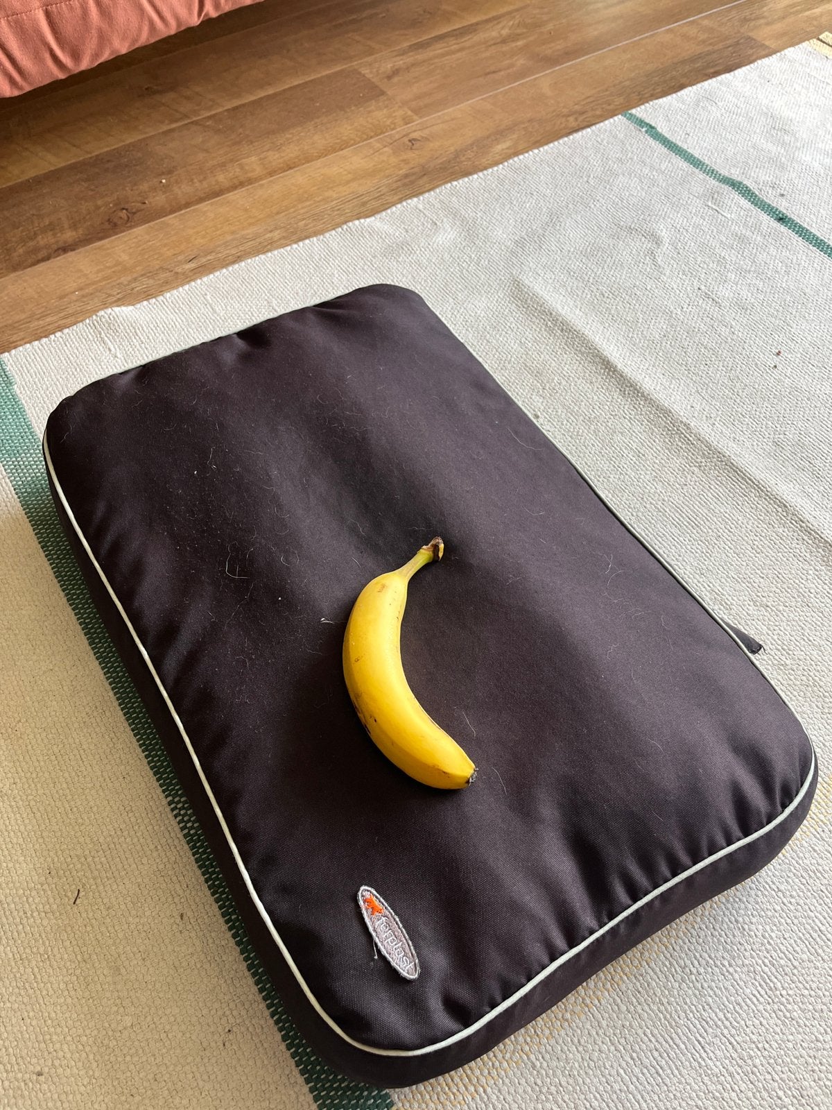 Ferplast honden bed, Ophalen, Gebruikt