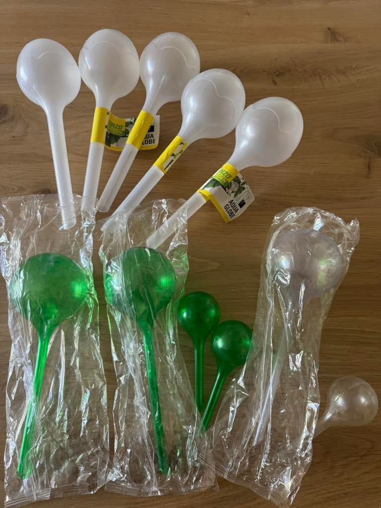 Waterdruppelaars verschillende soorten, Huis en Inrichting, Kamerplanten, Ophalen of Verzenden, Overige soorten, Volle zon, Minder dan 100 cm