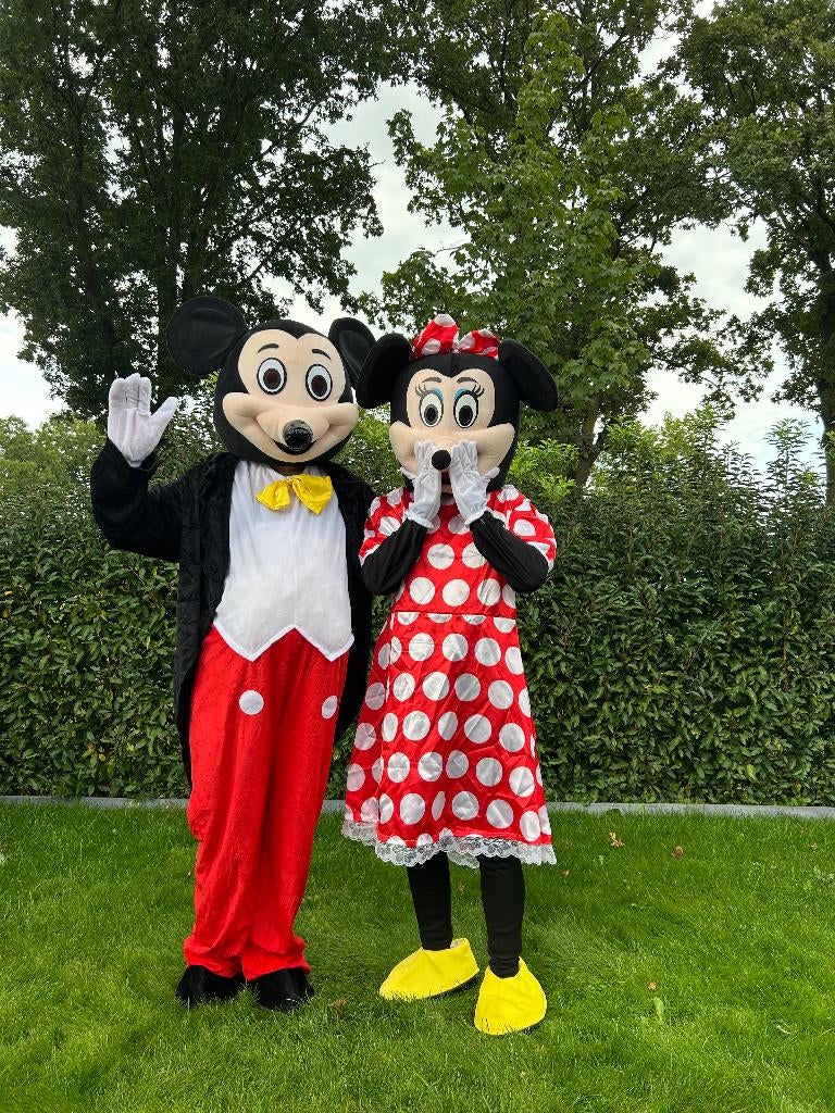 Te Huur: Mickey & Minnie Mouse Kostuum, Mascotte, Ophalen of Verzenden, Zo goed als nieuw, Verjaardag