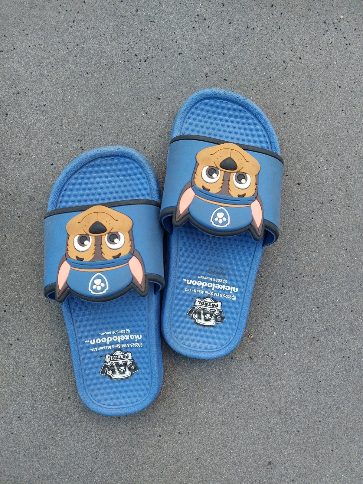 Paw Patrol Badslippers Maat 27, Gebruikt, Jongen of Meisje, Overige typen, Ophalen of Verzenden