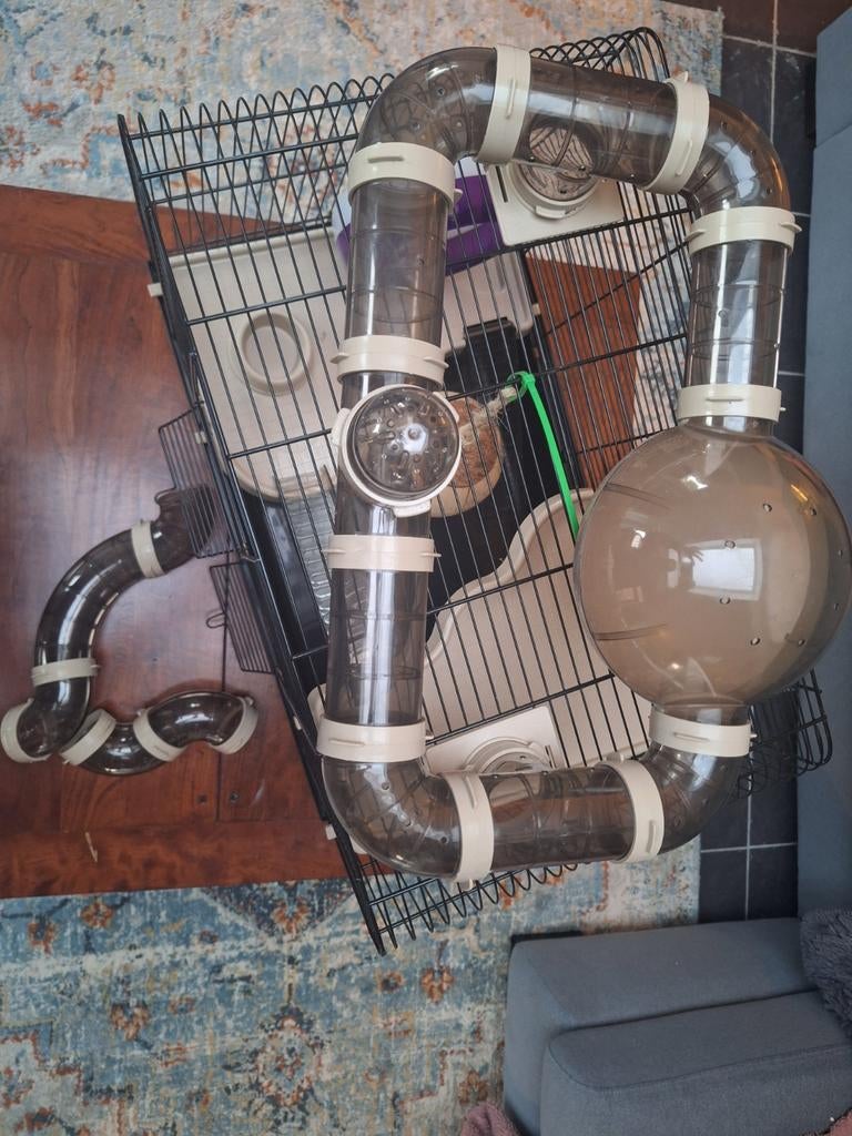 Leuke hamster kooi met naar eigen in te delen onderdelen, Ophalen