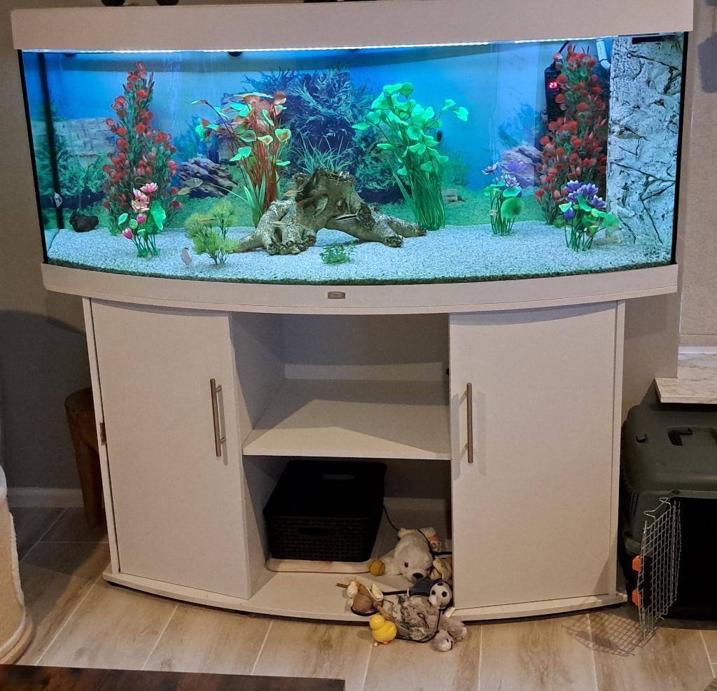 Aquarium Jewel, Dieren en Toebehoren, Vissen | Aquaria en Toebehoren, Ophalen, Gebruikt, Inclusief vissen, Gevuld zoetwateraquarium