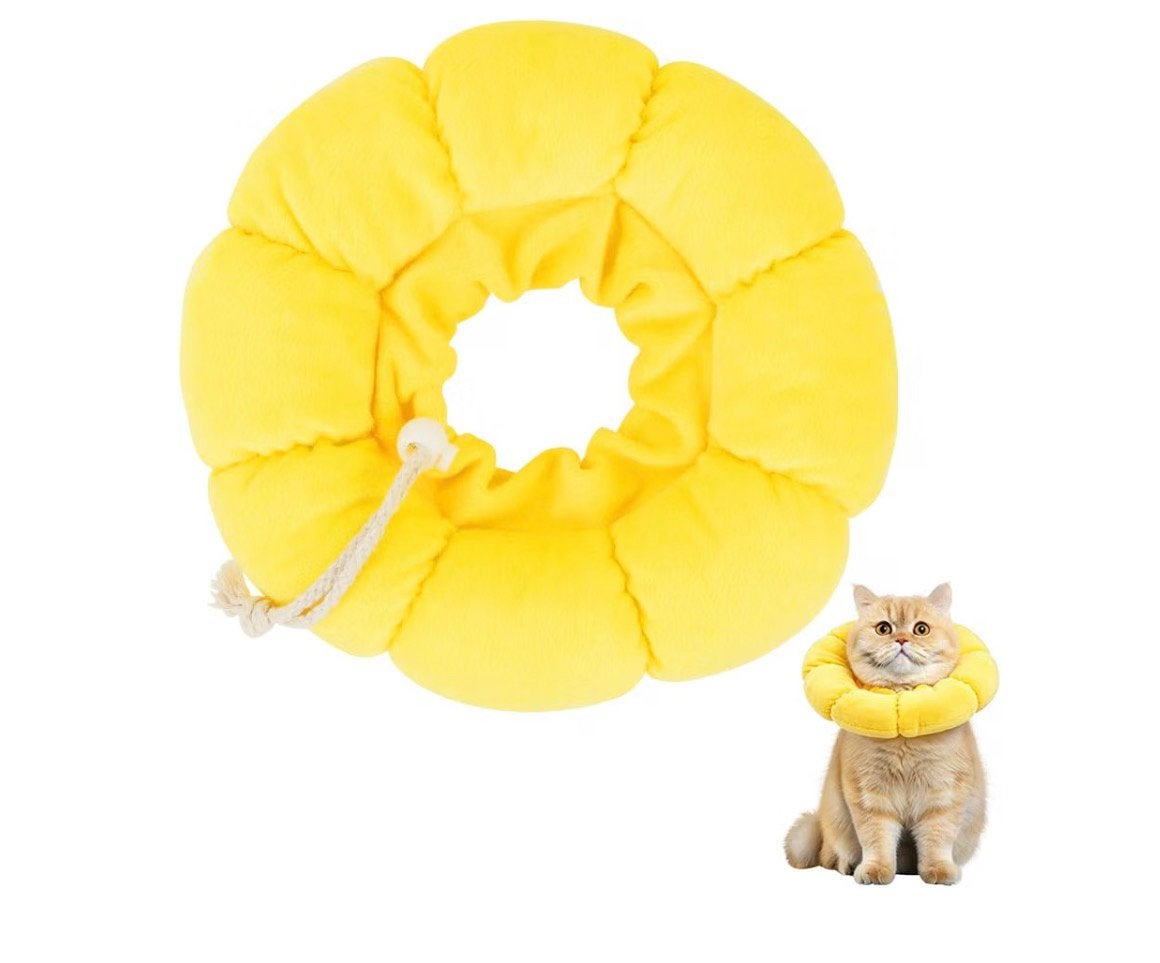 GEZOCHT, Beschermkraag Kat, Dieren en Toebehoren, Ophalen of Verzenden, Zo goed als nieuw