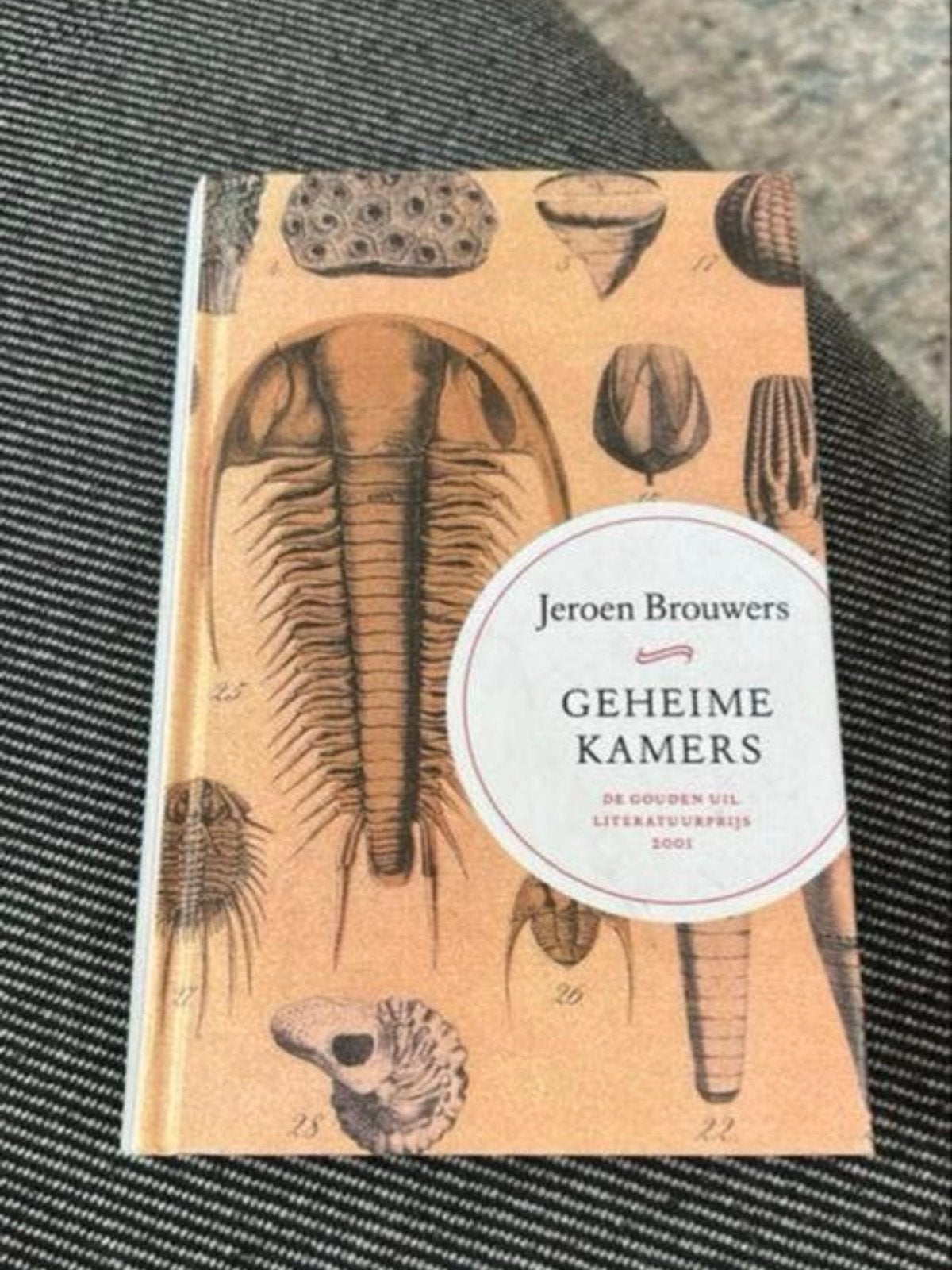 Geheime kamers - Jeroen Brouwers (De Gouden Uil Literatuurpr, Ophalen of Verzenden, Gelezen, Nederland