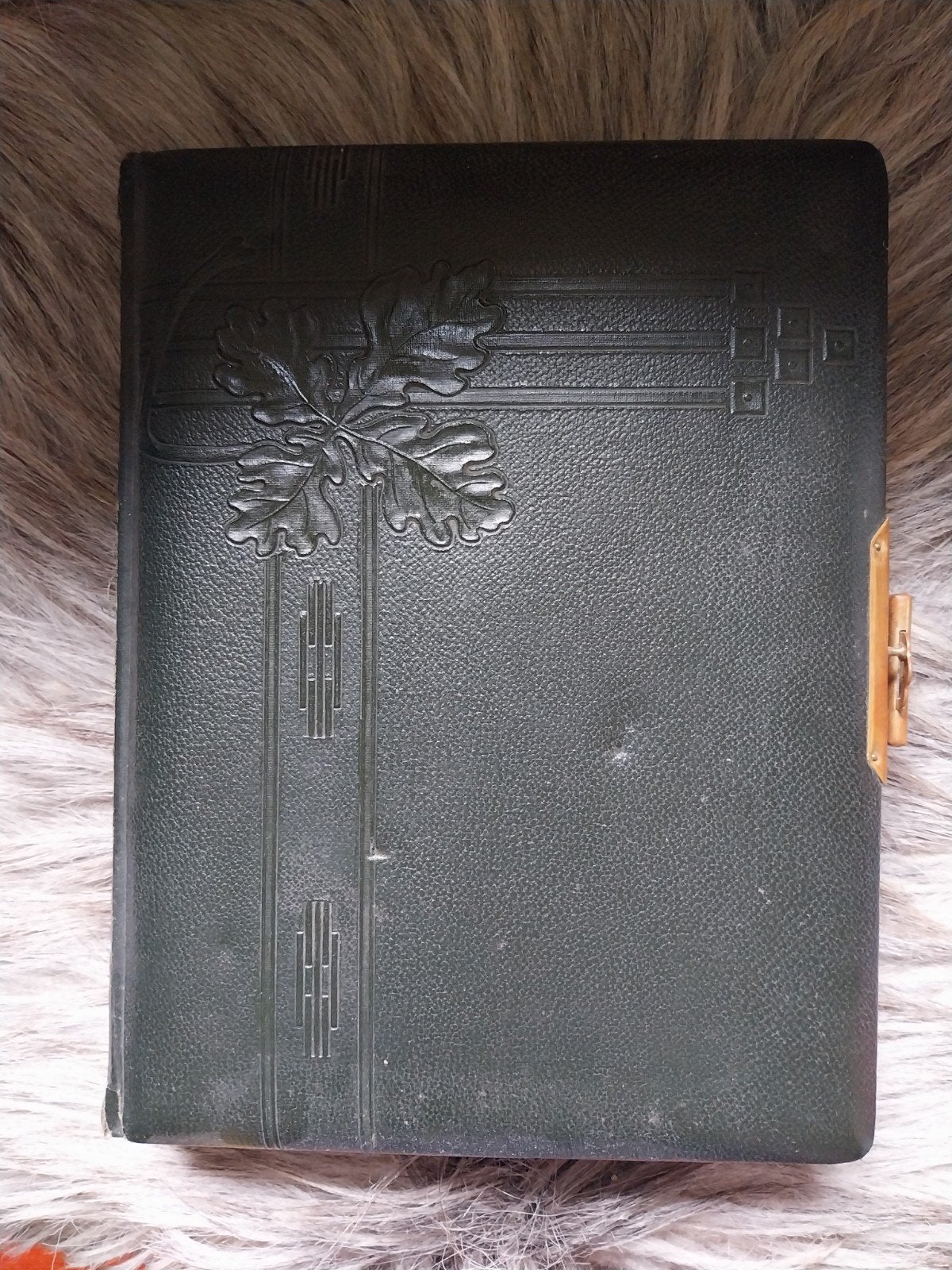 Oud Fotoalbum uit Stockholm van Tante Brocante, Ophalen of Verzenden, Voor 1940, Gebruikt, Overige onderwerpen