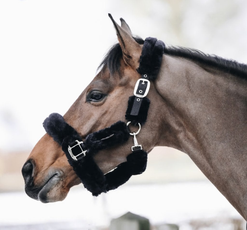 Halster Kentucky Sheepskin zwart cob, Ophalen of Verzenden, Nieuw, Dressuur