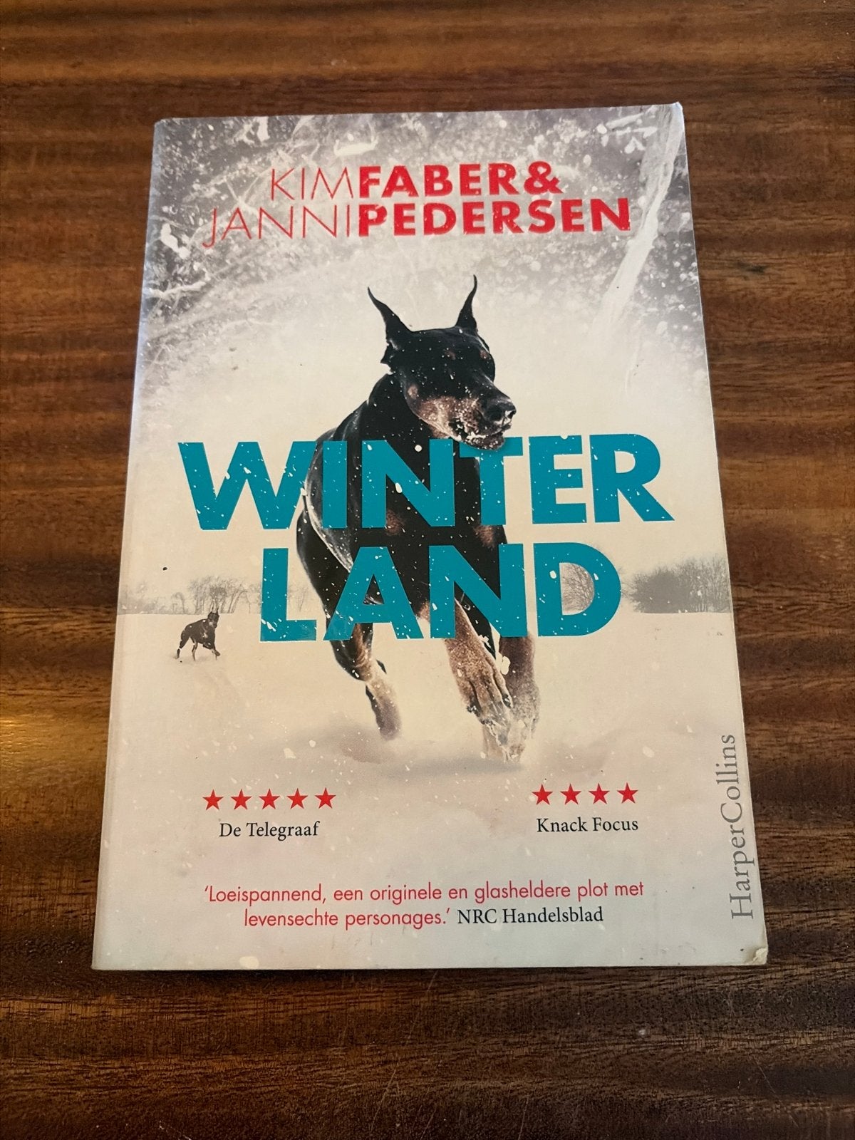 Winterland - Kim Faber & Janni Pedersen (Thriller) - V2, Ophalen of Verzenden, Gelezen, Scandinavië