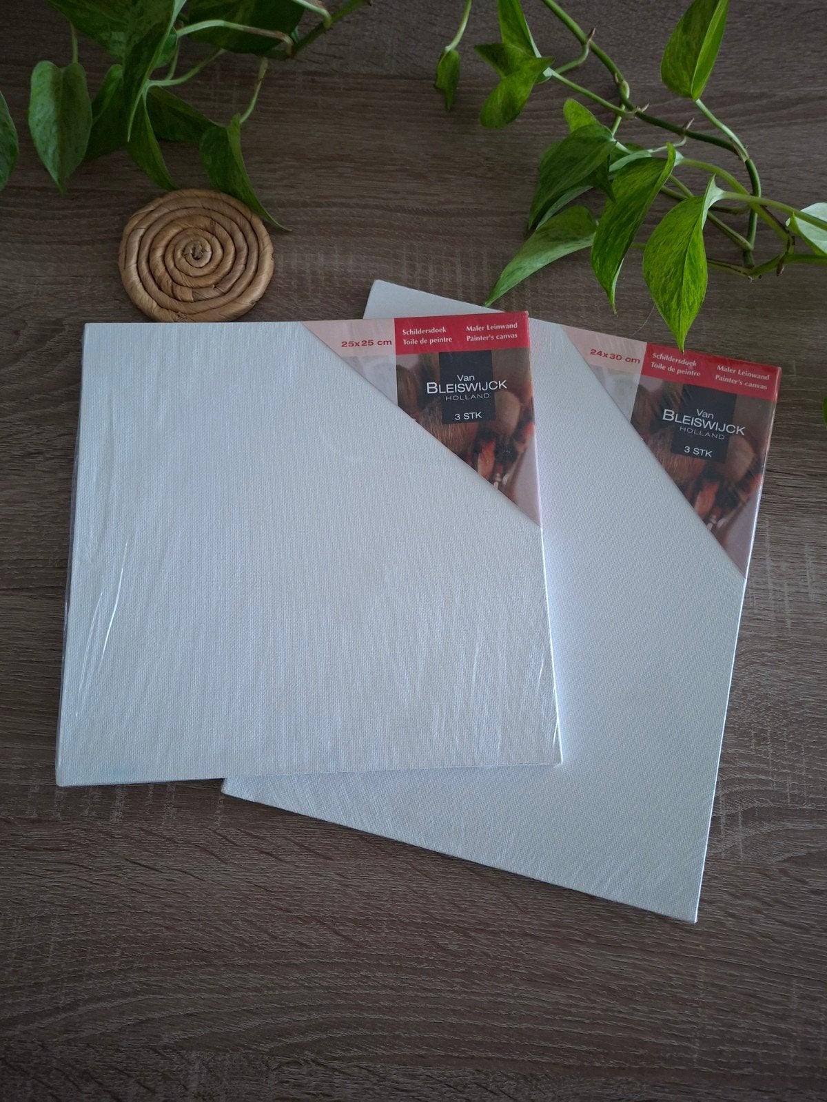 Nieuwe Bleiswijck Schildersdoeken - 2 Formaten, Hobby en Vrije tijd, Ophalen of Verzenden, Nieuw