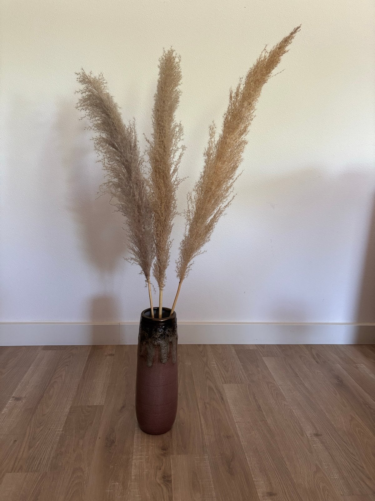 Decoratieve vaas 30 cm hoog met pampas pluimen, Ophalen, Gebruikt, Meerkleurig, Geschikt voor droogbloemen