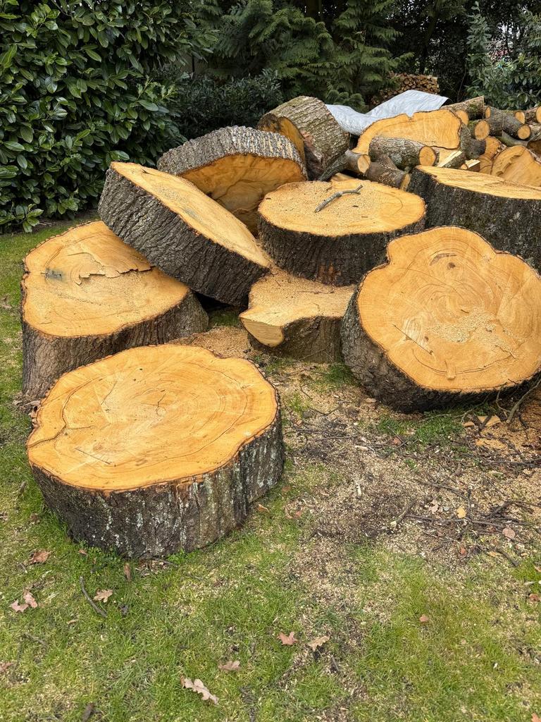 Haardhout kastanje vers gezaagd, Tuin en Terras, Haardhout, 3 tot 6 m³, Ophalen of Verzenden, Overige houtsoorten, Stammen