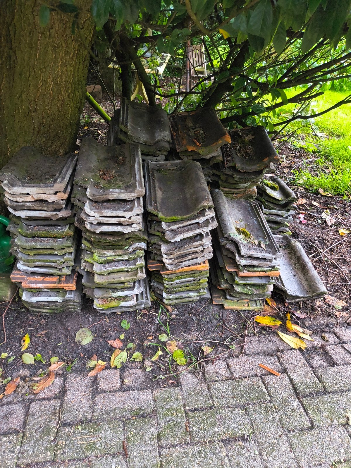 Oud Hollandse dakpannen, Doe-het-zelf en Verbouw, Dakpannen en Dakbedekking, Gebruikt, Steen of Klei, Ophalen of Verzenden, 15 m² of meer