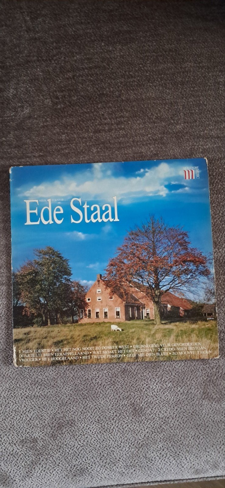 Ede Staal - Mien Toentje (LP, 1984), Cd's en Dvd's, Vinyl | Pop, Gebruikt, Originele persing, 1980 - 1989, 12 inch, Ophalen of Verzenden